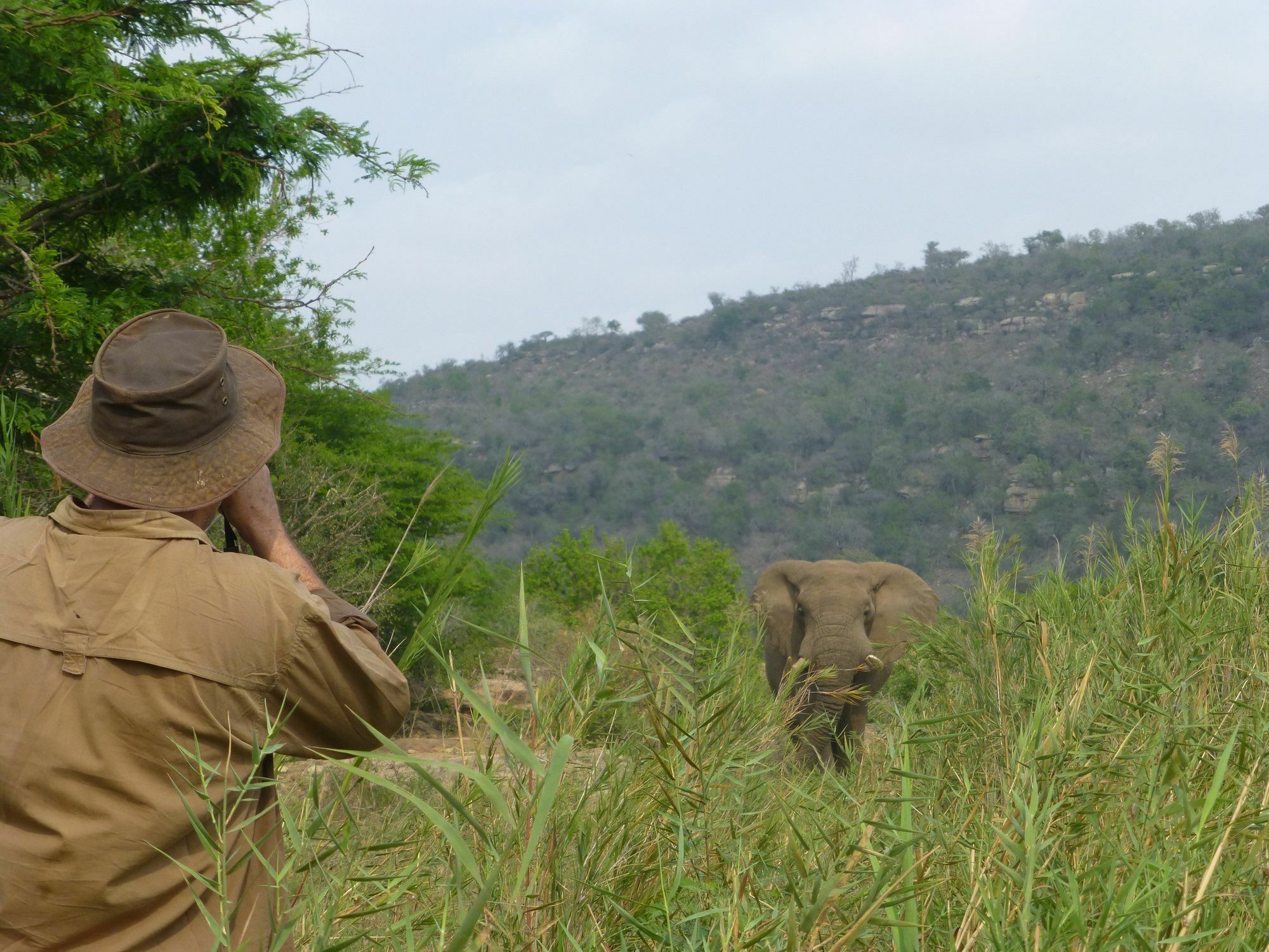 Rhino Ridge Safari Lodge KwaNompondo ภายนอก รูปภาพ